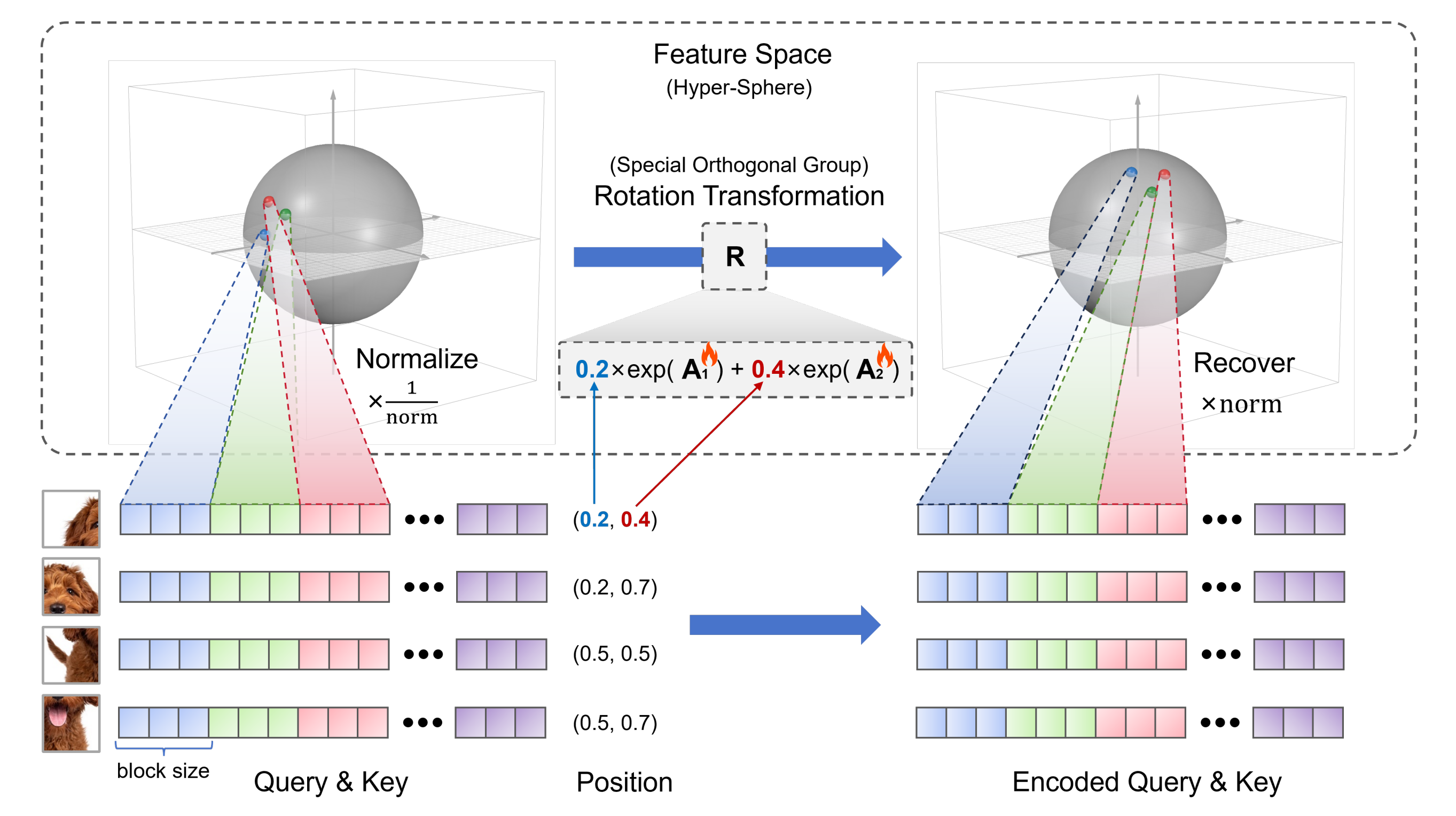 ComRoPE encodes spatial positions using trainable rotations in feature space.